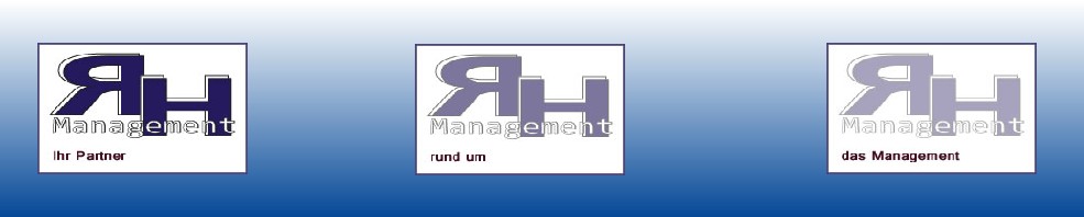 Profil Interimsmanager